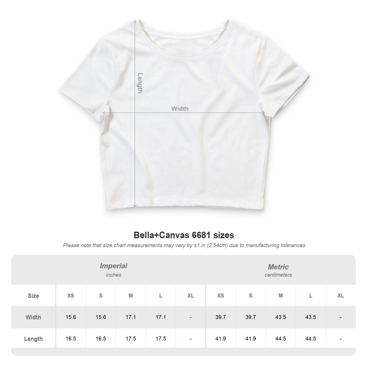 Crop Tee — “Bi-Wives Matter: It’s Not Cheatin’ If She’s Also Eatin’” Retro Flamingo Graphic
